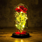 Cúpula de Rosas com Led - Beautiful Love
